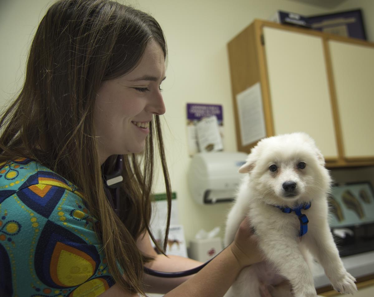 Specials Veterinary Medical & Surgical Hospital of Topeka