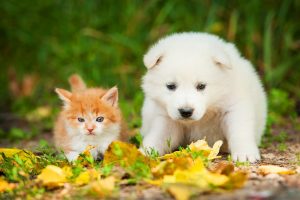 Image00021